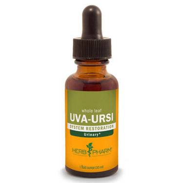 Uva-Ursi - My Village Green